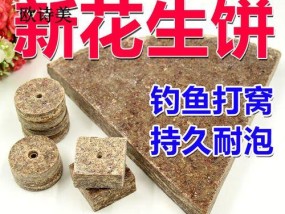 钓鱼菜籽饼打窝技巧（钓友必备，提升钓鱼成功率的实用技巧！）