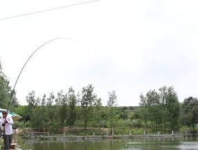 高温天气下钓鱼技巧（应对高温渔获难题）