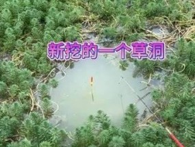 退水后钓鱼技巧（掌握这些技巧）