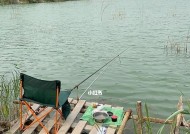 初夏下雨天钓鱼的技巧（乐趣倍增、收获满满，降雨下的钓鱼诀窍）