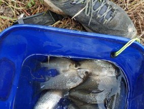 春秋野钓鲫鱼如何选位？有哪些有效的选位技巧？