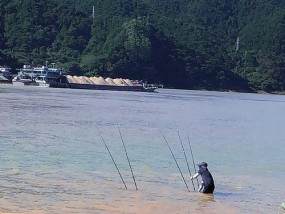 春天钓鱼涨水技巧教程（掌握钓鱼技巧，享受春天涨水的乐趣）