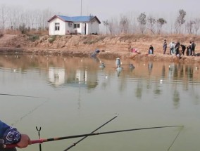 串钩钓鱼打窝的正确方法和技巧是什么？如何提高钓鱼效率？