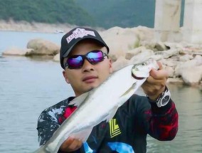 丹江口野钓翘嘴技巧有哪些？如何提高钓翘嘴的成功率？