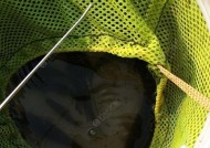 冬季走水河钓鱼技巧教程？如何应对低温挑战提高钓鱼成功率？