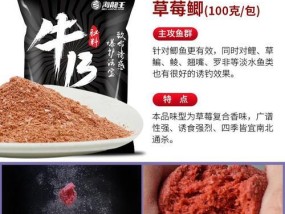 钓鱼散炮装饵料技巧（提升钓鱼效果的实用装饵技巧）