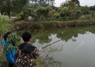 冬至后浅水塘钓鱼技巧有哪些？如何提高钓鱼成功率？