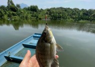 海南冷天户外钓鱼技巧有哪些？如何应对低温天气的钓鱼挑战？