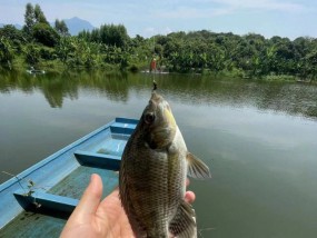 海南冷天户外钓鱼技巧有哪些？如何应对低温天气的钓鱼挑战？
