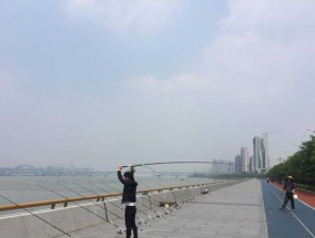 钓鱼拉线的技巧有哪些？如何提高钓鱼成功率？