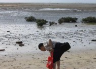 夏日奇遇冲浪钓鱼技巧（畅享夏日冲浪）