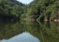 龙洞水库钓鱼技巧与方法（探秘钓鱼宝地）