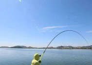如何掌握海滩钓鱼技巧扎串钓？常见问题有哪些？