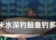 白面钓鱼正确方法和技巧是什么？如何提高钓鱼效率？