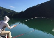 提升海鲈鱼钓技的以假饵浮漂钓法（技巧与方法分享）