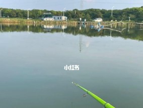 福州内河钓鱼技巧（享受福州内河钓鱼乐趣的技巧）