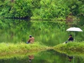 探寻鱼道，钓鱼技巧大揭秘（钓鱼达人传授实用经验）