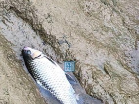 乐趣无穷（体验大自然的魅力）
