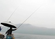 冬天野钓大青大草的技巧是什么？如何提高守钓成功率？