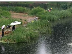 夏季阴天钓鱼技巧（钓鱼新手必看）