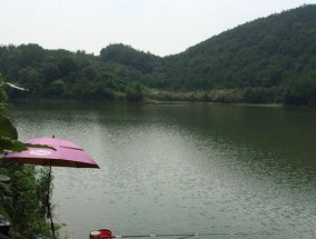 冬季水库钓鱼技巧与方法