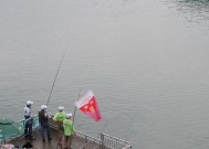 杜张水库钓鱼技巧和方法有哪些？如何提高钓鱼成功率？