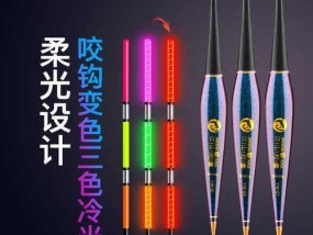 夜钓技巧大揭秘（电子漂调试十大秘籍）