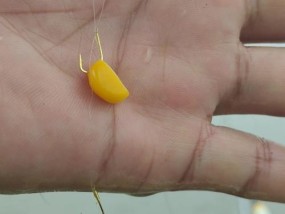 钓鱼技巧大揭秘（轻松掌握调漂技巧）