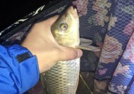 冬天七星漂夜钓鲫鱼技巧有哪些？如何提高钓鲫鱼的成功率？