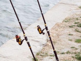 海竿河里钓鱼技巧（掌握这一关键）