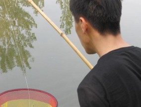 野外钓鱼技巧大揭秘（选用合适的钩具成就好钓鱼）