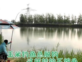 钓鱼挂鱼粑粑的技巧（提高钓鱼成功率的秘诀、轻松掌握钓鱼技巧）