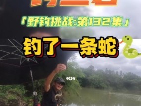 冬季在河流钓鱼技巧有哪些？如何应对低温挑战？