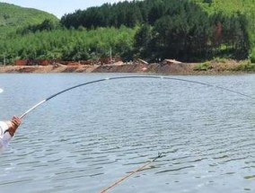 万亩水库野钓技巧（掌握技巧）