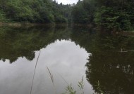 冬天在池塘钓鱼有哪些技巧？如何提高冬季钓鱼的成功率？