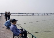 单位钓鱼比赛技巧有哪些？如何提高钓鱼比赛成绩？
