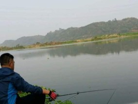 夜间钓鱼打窝技巧（掌握夜间钓鱼打窝的关键）