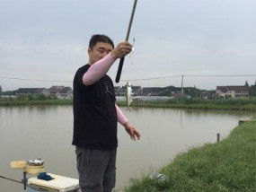 如何使用蘸麻团提高钓鱼技巧？蘸麻团钓鱼有哪些常见问题？
