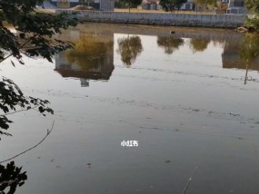 春天大雨钓鱼技巧有哪些？如何应对雨天钓鱼的挑战？