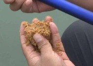 鱼饵饵料搭配技巧大揭秘（提升钓鱼成功率的关键在这里）