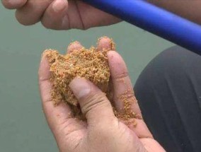 鱼饵饵料搭配技巧大揭秘（提升钓鱼成功率的关键在这里）