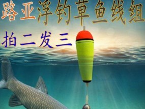 如何选购适合的钓鱼技巧鱼线？选购时应注意哪些常见问题？