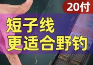 短子线钓鱼技巧有哪些？如何提高短子线钓鱼的成功率？