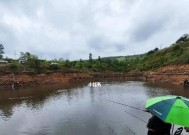 新钓场初次钓鱼技巧（新手钓友的成功指南）