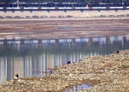 冬天浅水河钓鱼技巧有哪些？如何提高冬季钓鱼成功率？