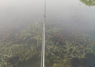 海上40米钓鱼技巧有哪些？如何应对大风浪天气？