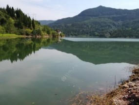 坝底水库钓鱼技巧有哪些？如何提高钓鱼成功率？