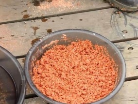 野外垂钓打窝技巧（提升垂钓成功率的窍门）