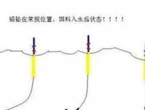 赵合意钓鱼技巧大揭秘（掌握这个）