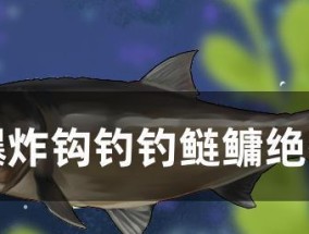 钓鱼小技巧，降低断杆几率（细节决定成败，有效防止钓竿折断）